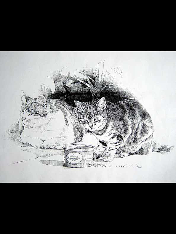 Two cats in the yard..(to paraphrase the song) (400x300mm. Pen & Ink. Privately owned.)